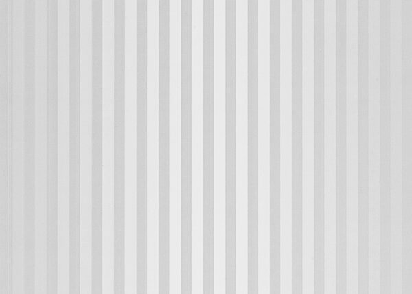 Πλαστική επένδυση Ραμποτέ PVC VILO Silver Lines 25x265 cm - Image 2