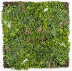 ΚΑΘΕΤΟΣ ΚΗΠΟΣ PARIS 100 Χ 100 MZ189023A - Image 3