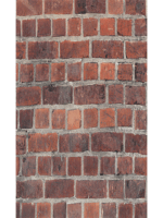 Πλαστική επένδυση Ραμποτέ PVC VILO Red Brick 25x265 cm